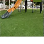 גיא ברוזמרין